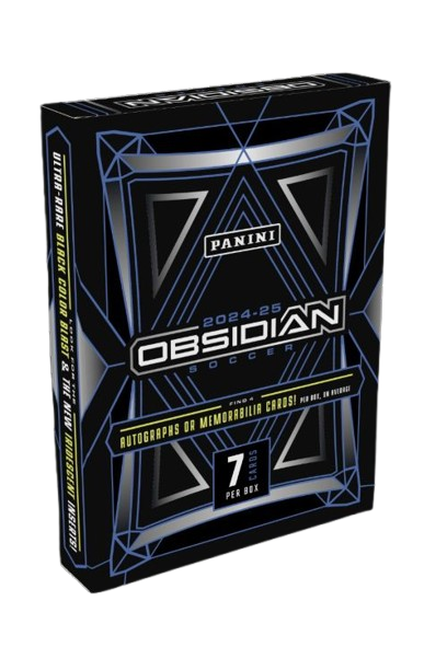 Obsidian Soccer 2024-2025