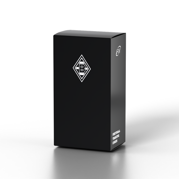 Borussia Monchengladbach FX 2024-2025