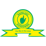 Mamelodi Sundowns image